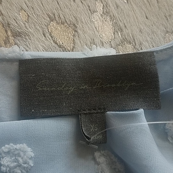 Anthropologie Sunday In Brooklyn Textured Dot Iza Blouse SzXS - Picture 2 of 7